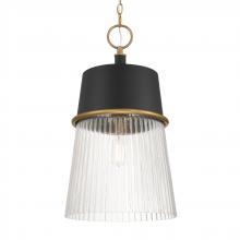 Minka-Lavery 194-876 - 1 LIGHT PENDANT