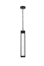 Outdoor Pendants