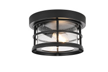 Outdoor Flush Mounts