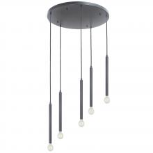 Dainolite SNY-125P-MB - 5 Light Pendant in Matte Black