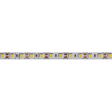 Dainolite DLT-17335 - DLT-17335