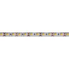 Dainolite DLT-17340 - DLT-17340