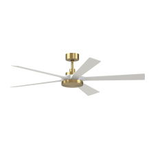Ceiling Fans with Light